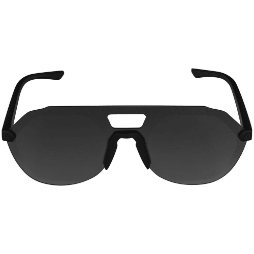 Alpina Beam II Sonnenbrille Unisex