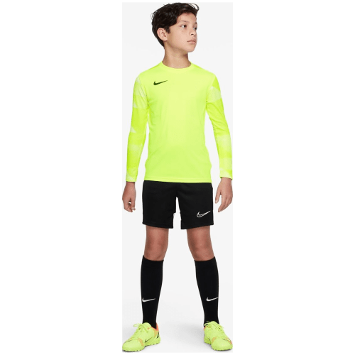 Nike Dri-FIT Park 4 Goalkeeper Kinder Trikot