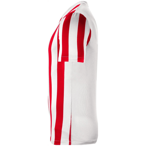 Nike Dri-FIT Division 4 Striped Herren Trikot