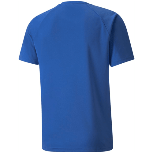 Puma TeamLIGA Striped Herren T-Shirt