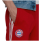 Adidas FC Bayern München 3-Streifen Jogginghose Herren