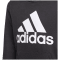 Adidas Essentials Hoodie Jungen