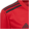 Adidas DFB Torwart-Heimtrikot Jungen