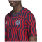 Adidas FC Bayern München Pre-Match Shirt Herren Trikot