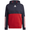 Adidas Essentials Colorblock Fleece Hoodie Herren Kapuzensweater