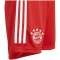 Adidas FC Bayern München 23/24 Kinder Shorts