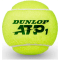 Dunlop ATP Championship -4er Tennisbälle