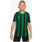 Nike Dri-FIT Division 4 Striped Kinder Trikot