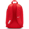 Nike Academy Team Unisex Daybag