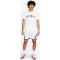 Nike Jordan Sport Dri-FIT Diamond Herren Shorts