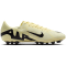 Nike ZOOM VAPOR 15 ACADEMY AG Herren Fußball-Nockenschuh