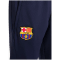 Nike FC Barcelona Strike Dri-FIT Kinder Hose