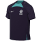 Nike Inter Milan Strike Dri-FIT Herren T-Shirt