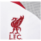 Nike Liverpool FC Strike Dri-FIT Top Herren T-Shirt