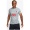 Nike LFC M NK DF SS PM Herren T-Shirt