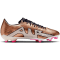 Nike ZOOM VAPOR 15 ACADEMY FG/MG Herren Nockenschuhe