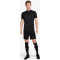 Nike Dri-FIT Academy Herren Shorts