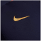 Nike Paris Saint-Germain Strike Dri-FIT Herren Sweatshirt