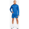 Nike Element Flash Dri-Fit 1/2-Zip Top Herren Sweatshirt