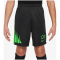 Nike Academy Player Edition:CR7 Dri-Fit Kinder Shorts