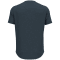 Odlo Ascent Performance Wool 130 Run-Bike-Hike Herren T-Shirt