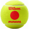 Wilson Minions Stage 3 Bälle Tennisbälle