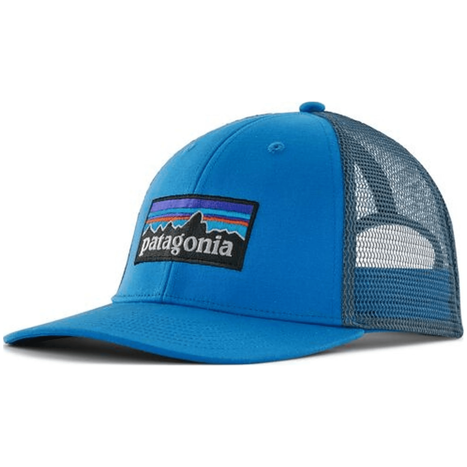 Patagonia P-6 Logo LoPro Trucker Cap