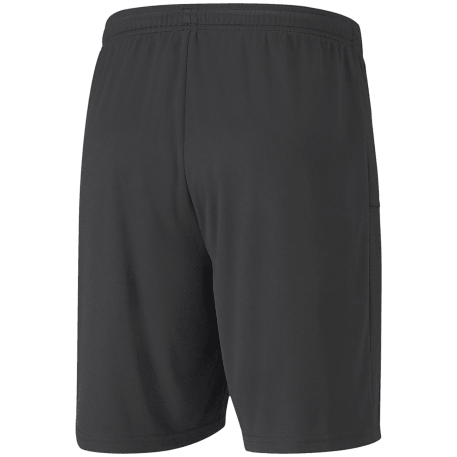 Puma TeamGOAL 23 Knit Herren Shorts