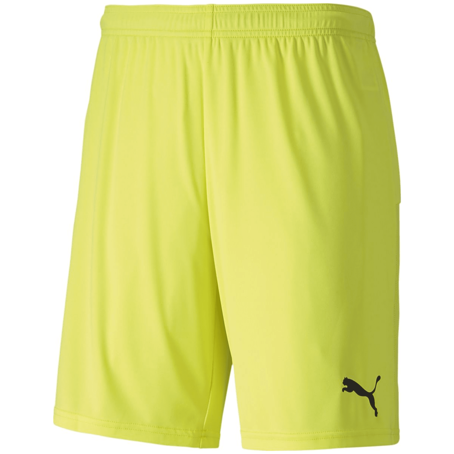 Puma TeamGOAL 23 Knit Herren Shorts