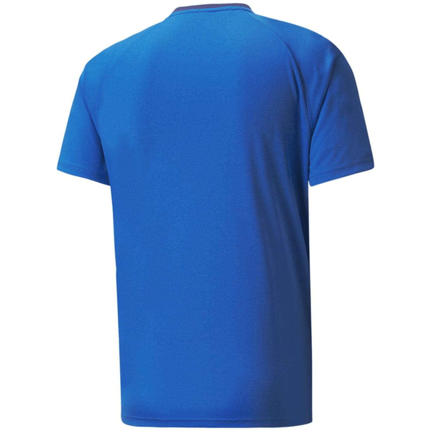 Puma TeamVISION Herren T-Shirt