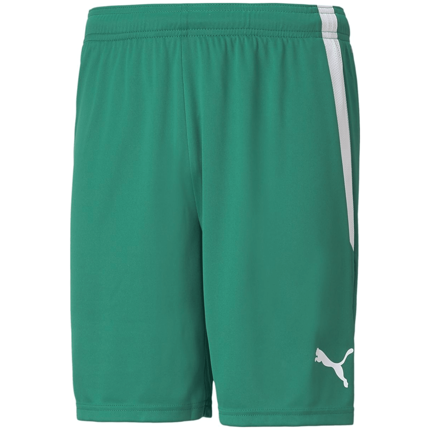 Puma TeamLIGA Herren Shorts