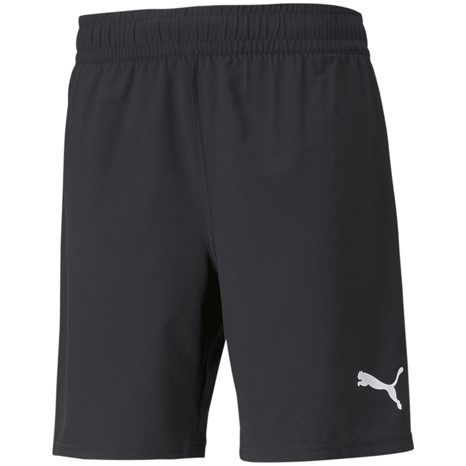 Puma TeamFINAL Herren Shorts