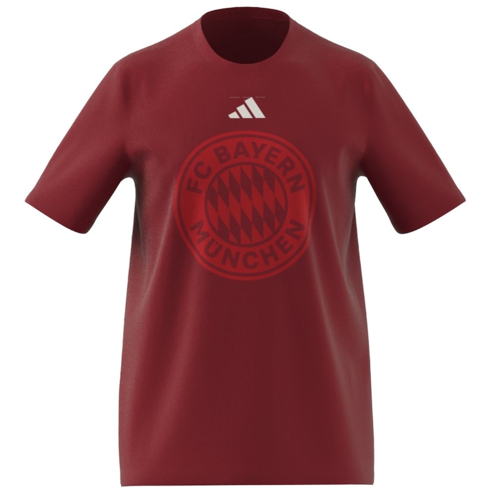 Adidas FC Bayern München DNA Graphic Herren T-Shirt