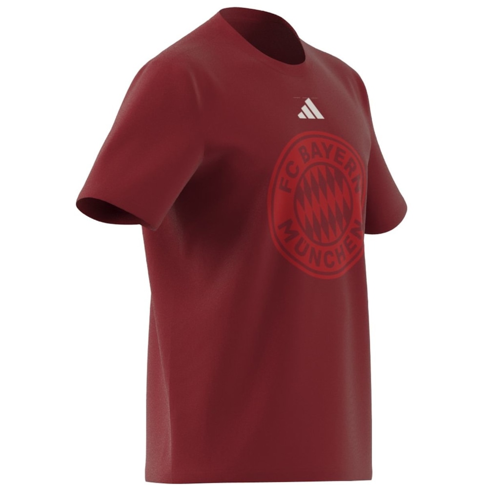 Adidas FC Bayern München DNA Graphic Herren T-Shirt