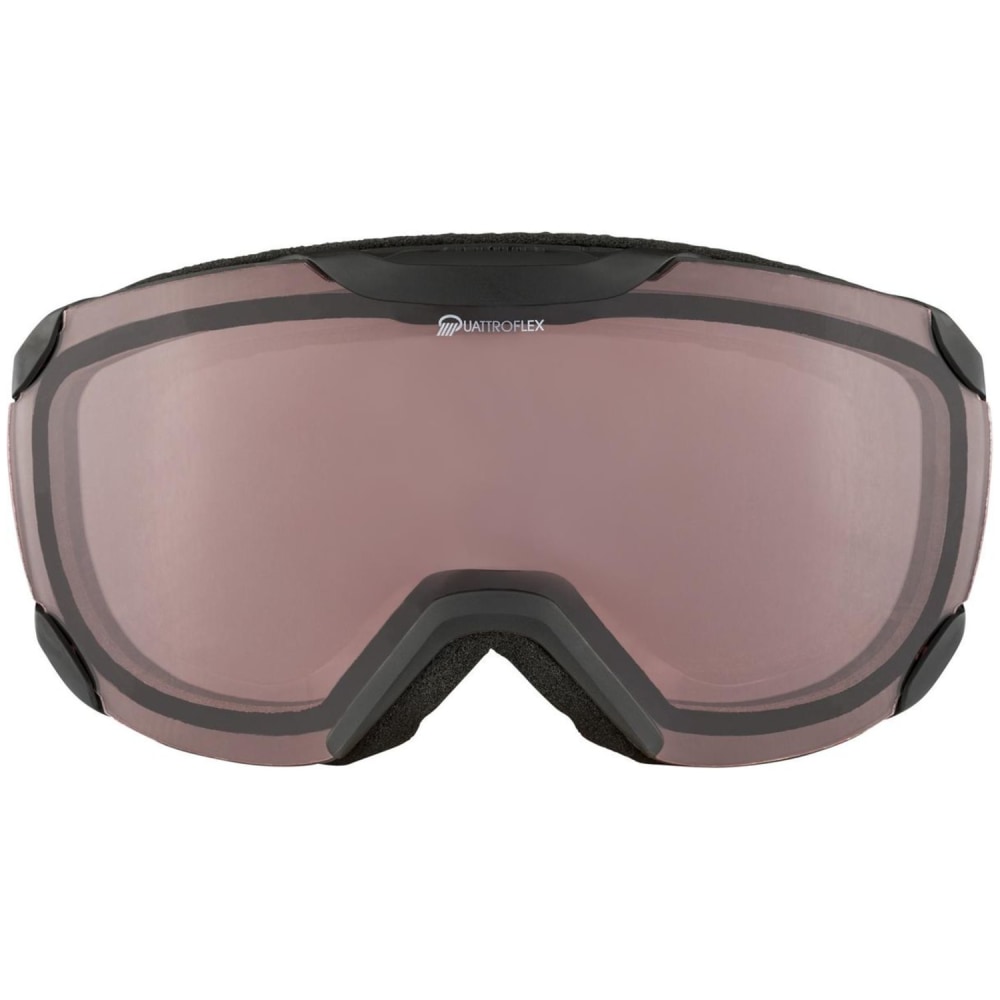 Alpina Thaynes Q Skibrille Unisex