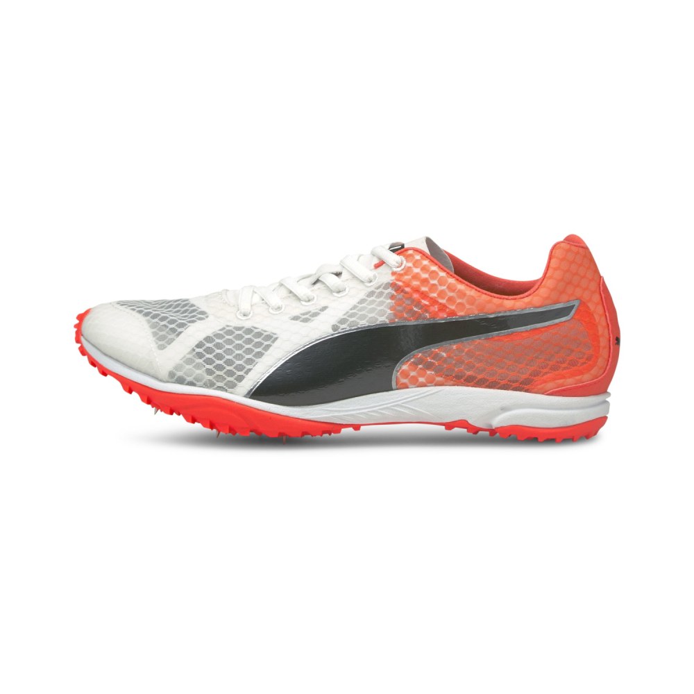 Evospeed haraka 6 best sale