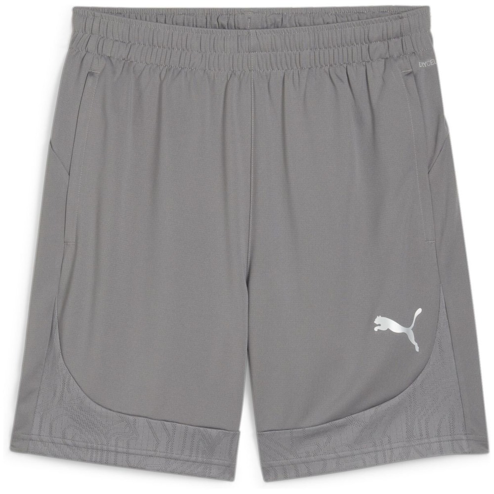 Puma teamFINAL Training Herren Shorts