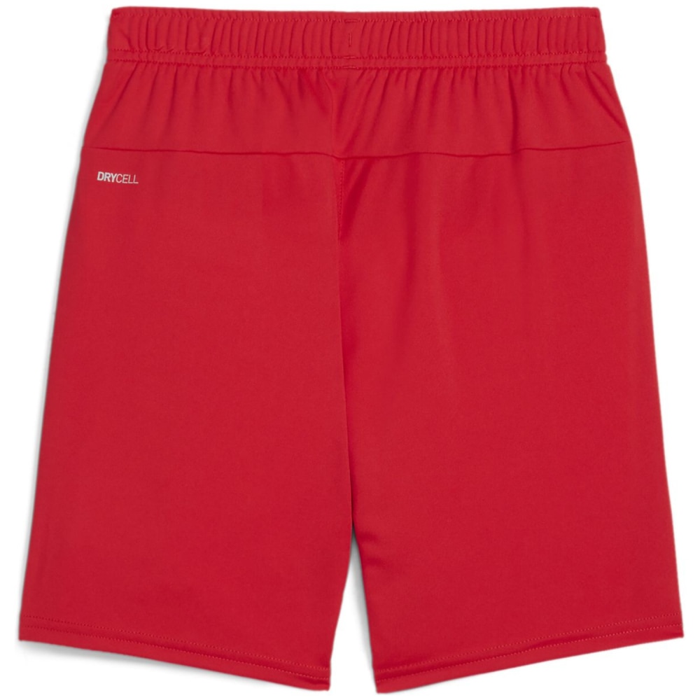 Puma teamGOAL Junior Kinder Shorts