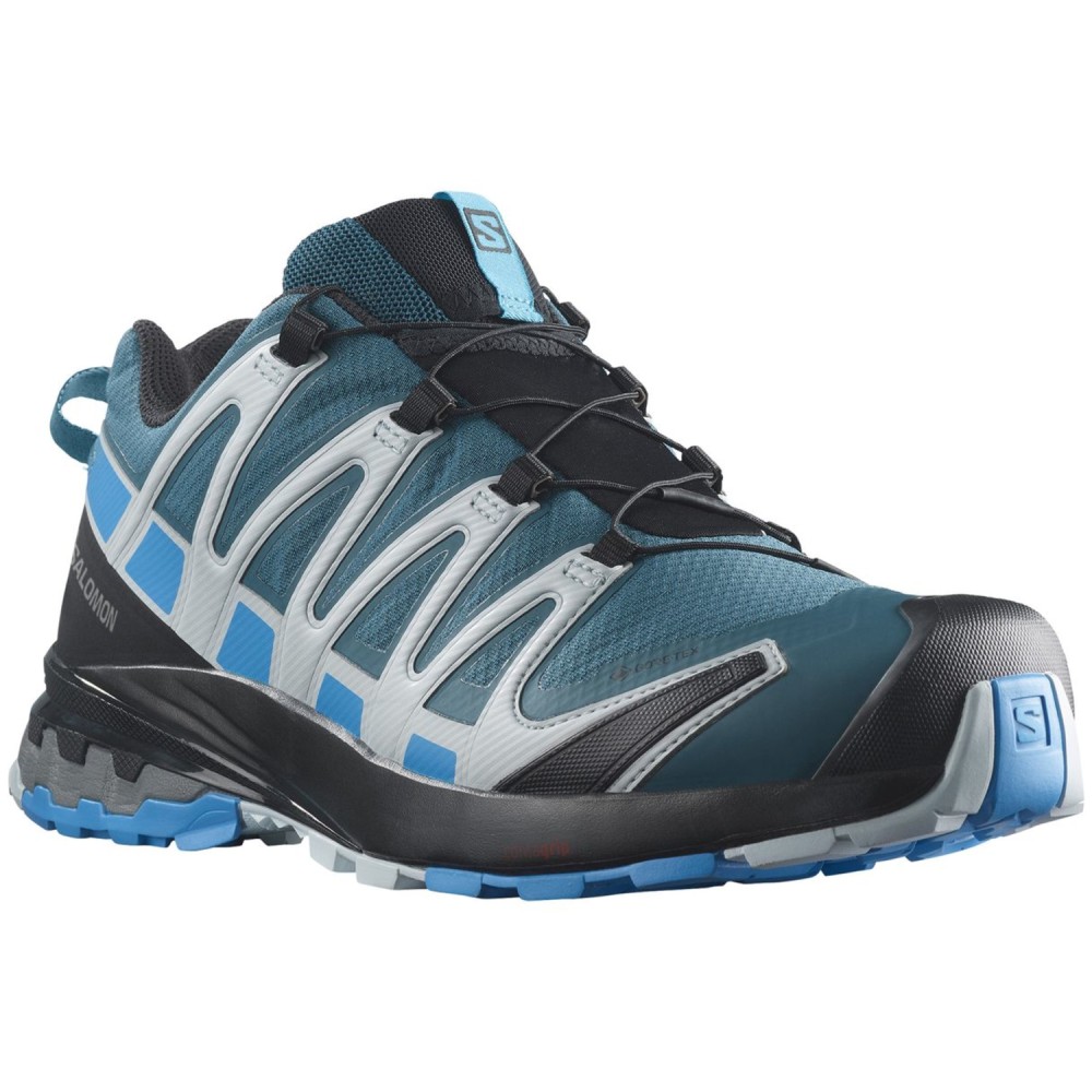 Salomon XA PRO 3D v8 Gore Tex Herren Trailrunning Schuh kaufen SPORT 2000