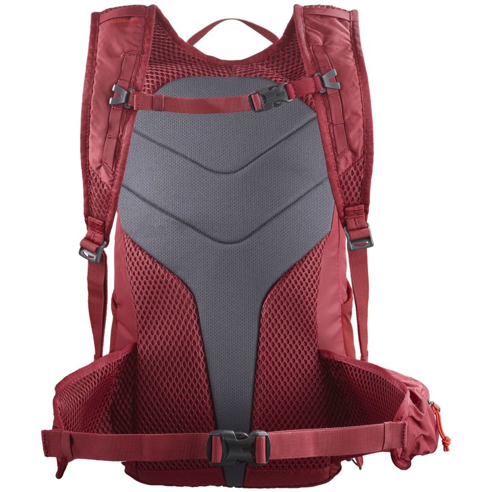Salomon Trailblazer 20 Multifunktionsrucksack kaufen SPORT 2000