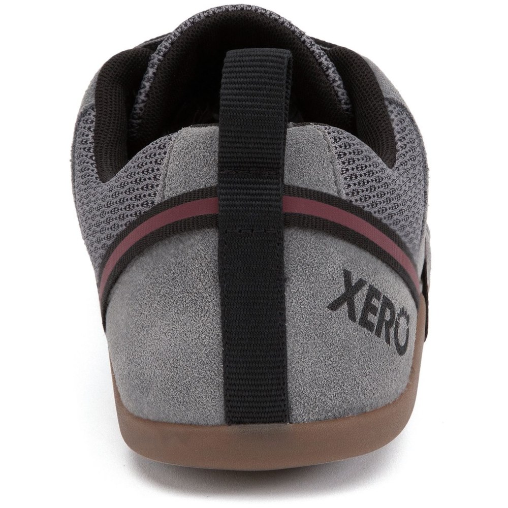 Xero Shoes Prio Suede Herren Freizeitschuhe