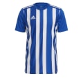 Adidas Striped 21 Trikot Herren