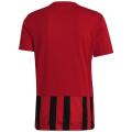 Adidas Striped 21 Trikot Herren