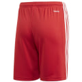 Adidas Squadra 21 Shorts Jungen