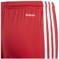 Adidas Squadra 21 Shorts Jungen
