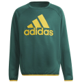Adidas Designed To Move Big Logo Sweatshirt Jungen