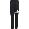 Adidas Essentials Regular Fit Big Logo Cotton Kinder Hose
