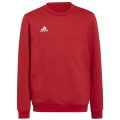 Adidas Entrada 22 Sweatshirt Kinder
