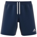 Adidas Entrada 22 Herren Shorts