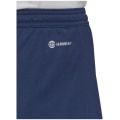 Adidas Entrada 22 Herren Shorts